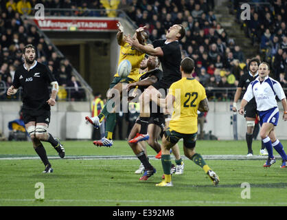 2013 Bledisloe Cup - All Blacks vs. Australia al Westpac Stadium dotate: atmosfera dove: Wellinton, Nuova Zelanda quando: 24 Ago 2013 Foto Stock