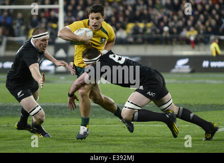 2013 Bledisloe Cup - All Blacks vs. Australia al Westpac Stadium dotate: atmosfera dove: Wellinton, Nuova Zelanda quando: 24 Ago 2013 Foto Stock