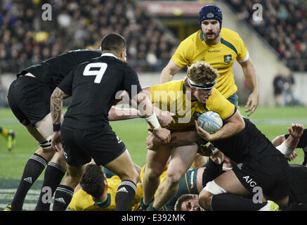 2013 Bledisloe Cup - All Blacks vs. Australia al Westpac Stadium dotate: atmosfera dove: Wellinton, Nuova Zelanda quando: 24 Ago 2013 Foto Stock