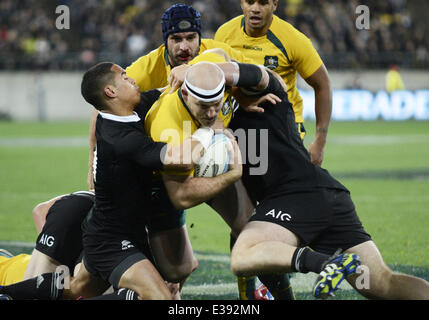 2013 Bledisloe Cup - All Blacks vs. Australia al Westpac Stadium dotate: atmosfera dove: Wellinton, Nuova Zelanda quando: 24 Ago 2013 Foto Stock