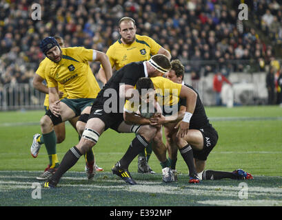 2013 Bledisloe Cup - All Blacks vs. Australia al Westpac Stadium dotate: atmosfera dove: Wellinton, Nuova Zelanda quando: 24 Ago 2013 Foto Stock