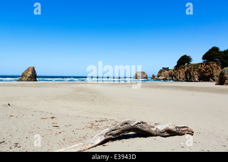 Spiaggia sulla Statale Route 1 appena a nord di Fort Bragg, Mendocino County, California del Nord, STATI UNITI D'AMERICA Foto Stock