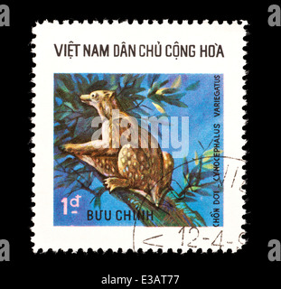 Francobollo dal Vietnam raffiguranti Sunda lemuri volanti (Galeopterus variegatus) Foto Stock