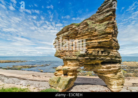 STACK DI MARE gigante con due gambe lungo il MORAY COAST TRAIL VICINO HOPEMAN Scozia Scotland Foto Stock