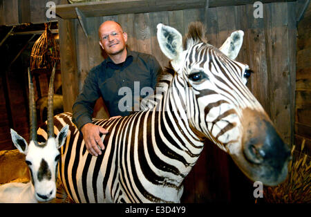 Kassel, Germania. Il 23 giugno, 2014. Direttore del Museo, Kai Fueldner sta dietro una zebra montato in un modello dell'Arca di Noè presso il Museo di Storia Naturale a Kassel in Germania, 23 giugno 2014. La nuova mostra è chiamato 'Regno Animale nella Bibbia". Foto: UWE ZUCCHI/DPA/Alamy Live News Foto Stock