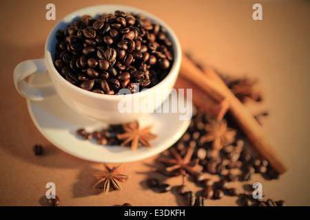 I chicchi di caffè e bellissimo anice Foto Stock