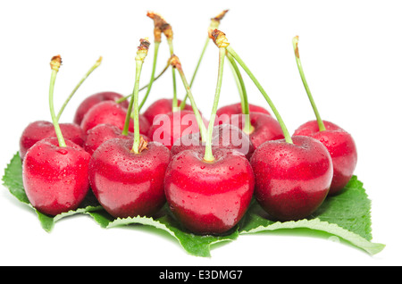 Cherry Ripe berry bagnato con goccioline sulla frutta fresche foglie verde isolato su bianco Foto Stock