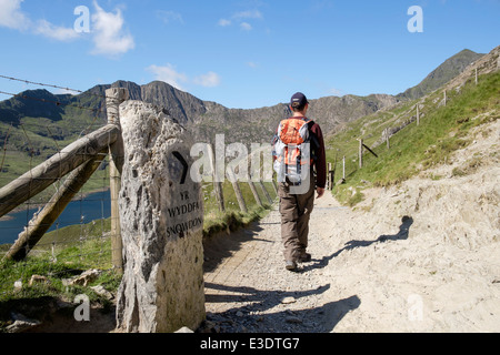 Walker dal segno di direzione su Pyg via a Bwlch y Moch camminando verso il Monte Snowdon in montagna. Snowdonia North Wales UK Gran Bretagna Foto Stock