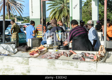 St. Johns pubblico Mercato del Pesce, St. John's, Antigua Foto Stock