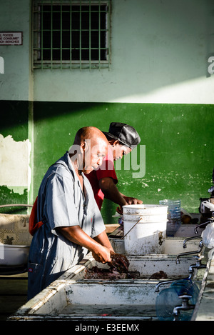 St. Johns pubblico Mercato del Pesce, St. John's, Antigua Foto Stock