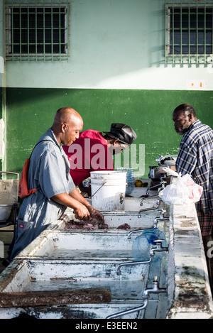 St. Johns pubblico Mercato del Pesce, St. John's, Antigua Foto Stock