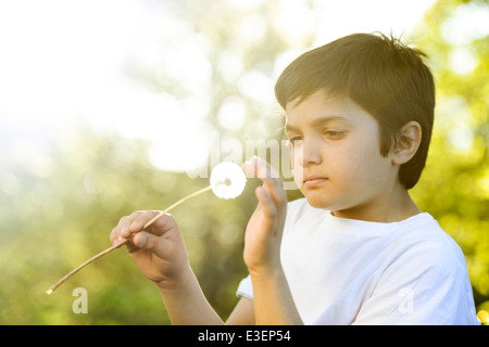 Ragazzo Wishes-Young soffiando su di un fiore di tarassaco in primavera Foto Stock