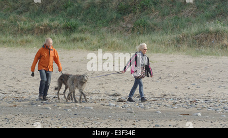 Coppia di anziani a piedi lurcher thieir cani sulla spiaggia Foto Stock