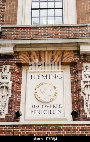 Memoriale di pietra a Alexander Fleming presso l'Imperial College di Londra, dove ha scoperto la penicillina Foto Stock