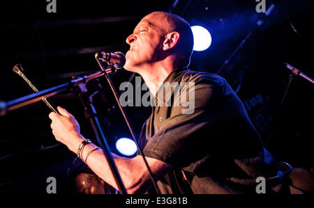 Dreadzone eseguire live at The Fleece Bristol offre: Dreadzone dove: Bristol, Regno Unito quando: 08 Nov 2013 Foto Stock