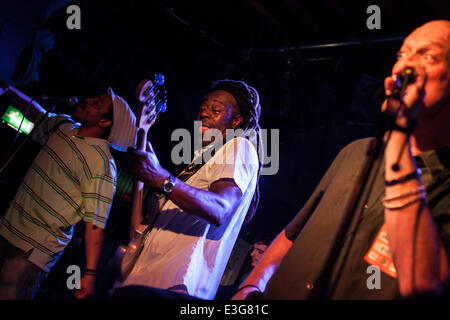 Dreadzone eseguire live at The Fleece Bristol offre: Dreadzone dove: Bristol, Regno Unito quando: 08 Nov 2013 Foto Stock