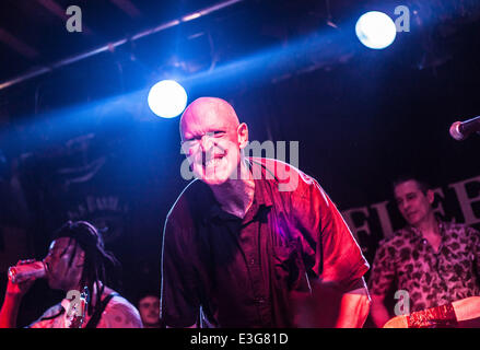 Dreadzone eseguire live at The Fleece Bristol offre: Dreadzone dove: Bristol, Regno Unito quando: 08 Nov 2013 Foto Stock