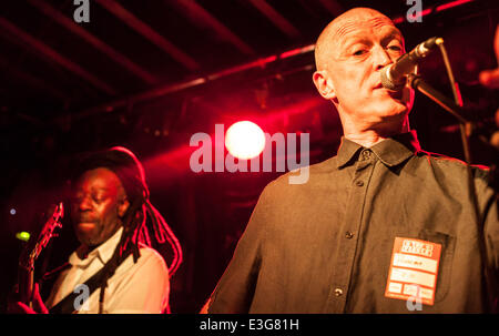 Dreadzone eseguire live at The Fleece Bristol offre: Dreadzone dove: Bristol, Regno Unito quando: 08 Nov 2013 Foto Stock