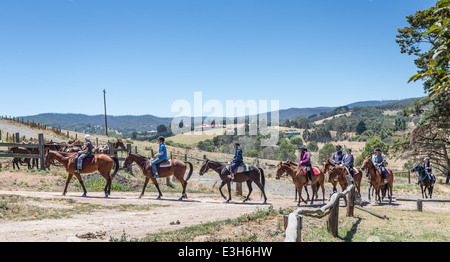 I piloti a cavallo su un sentiero di marcia Foto Stock