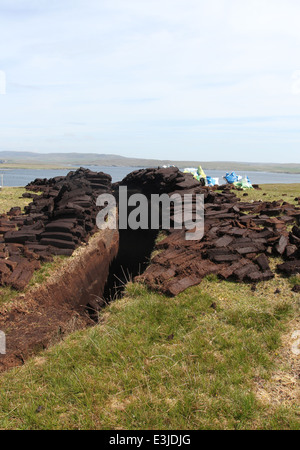 Pile di torba di essiccazione al sole yell Shetland Scozia giugno 2014 Foto Stock