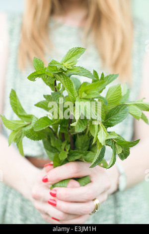 Donna che mantiene un mazzetto di raccolti di fresco menta. Foto Stock