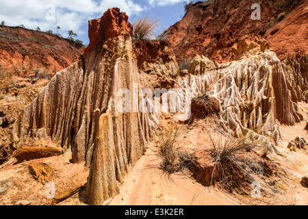 Madagascar, Ankarana riserva speciale. Red Tsingy - arenaria erosione dovuta alla deforestazione Foto Stock