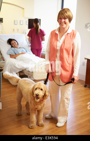 Ritratto di Pet Therapy cane femmina visita il paziente in ospedale Foto Stock