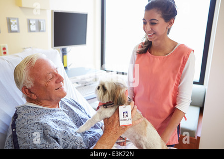 Pet Therapy cane visitando Senior paziente di sesso maschile in ospedale Foto Stock