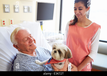 Pet Therapy cane visitando Senior paziente di sesso maschile in ospedale Foto Stock