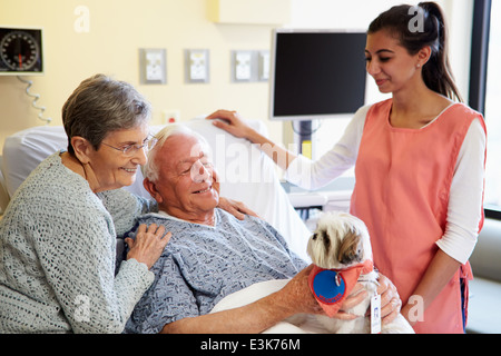 Pet Therapy cane visitando Senior paziente di sesso maschile in ospedale Foto Stock