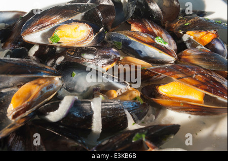 Moules o cozze cotte nel vino bianco con il prezzemolo. Foto Stock