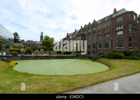 Ampio angolo di visione da Hortus Botanicus sul giardino di inverno di serra e di cassone e l'edificio dell'Accademia, Leiden, Paesi Bassi. Foto Stock