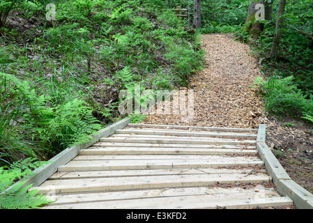 Strada di legno nella foresta. Sigulda. Foto Stock