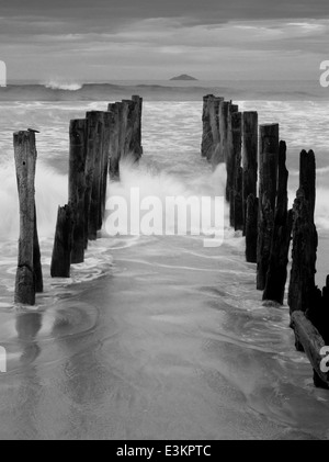 Vista del molo abbandonato su st. clair beach, con isola bianca nella distanza; dunedin, otago, Nuova Zelanda Foto Stock
