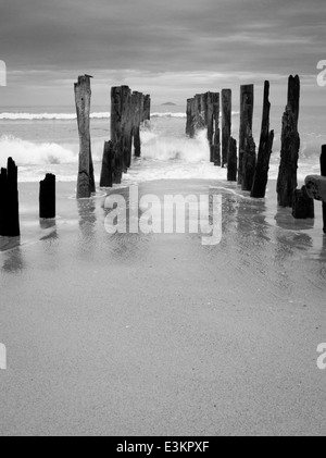 Vista del molo abbandonato su st. clair beach, con isola bianca nella distanza; dunedin, otago, Nuova Zelanda Foto Stock