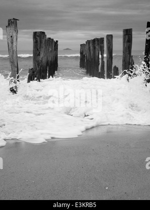 Vista del molo abbandonato su st. clair beach, con isola bianca nella distanza; dunedin, otago, Nuova Zelanda Foto Stock