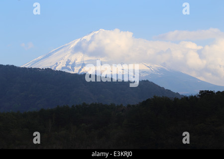 Il monte Fuji, vista dal lago Saiko, Giappone Foto Stock