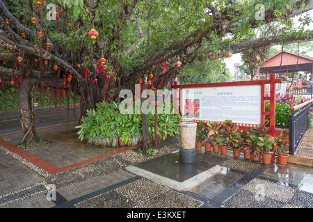 Amante Isola e Monkey Hill il bianco Tingchao Pavilion (un padiglione per l'ascolto della marea) Foto Stock