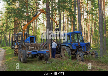 Rottura del trattore in legno. Il trattore arare un solco di divisione luoghi di foresta a firestorm. Foto Stock