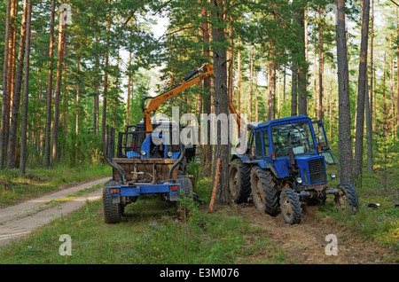 Rottura del trattore in legno. Il trattore arare un solco di divisione luoghi di foresta a firestorm. Foto Stock