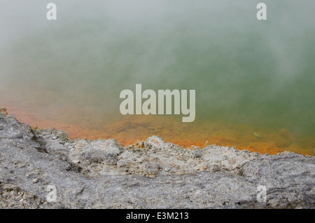 Nuova Zelanda, Isola del nord, Rotorua, Taupo zona vulcanica. Wai-o-tapu Valle Waiotapu aka (Maori per acqua sacra) parco geotermico Foto Stock