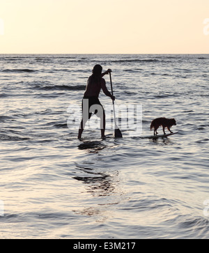 Cane va stand up paddle surfing con il proprietario in Hanalei, Kauai al tramonto Foto Stock