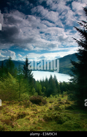 Loch Long e Arrochar dal Cat Craig Loop, l'Argyll Forest Park e al di sopra di Glen Croe, Argyll & Bute Foto Stock