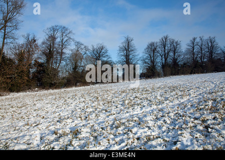 Coperta di neve sui campi di follia Hill, Faringdon, preso il giorno di Natale Foto Stock