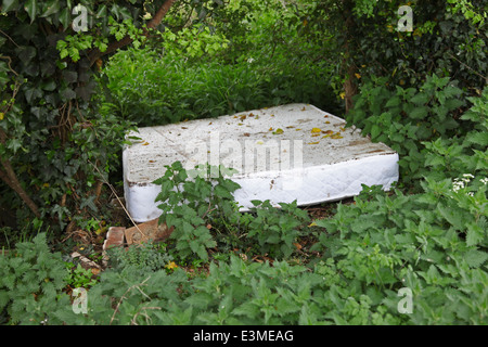 Un materasso e tappeti in oggetto di dumping nella campagna, rovinando la zona - quello di qualcun altro problema ! Foto Stock