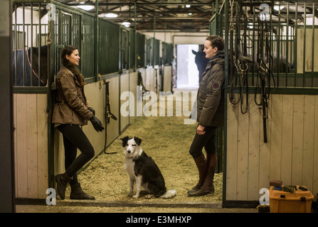 Lunghezza piena vista laterale della coppia giovane comunicante a cavallo stabile Foto Stock