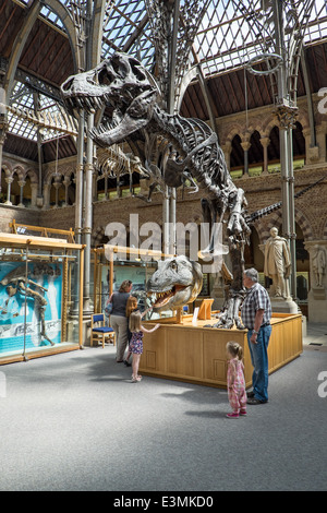 Gli ospiti con bambini visualizzazione mostravano un Tirannosauro Rex fossile presso il Museo di Storia Naturale di Oxford, Oxfordshire, Regno Unito Foto Stock