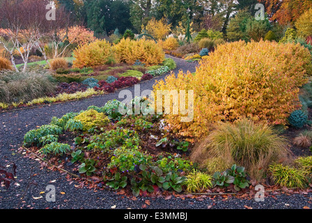 Il giardino d'inverno,nell'autunno. Giardini Bressingham, Norfolk, Regno Unito, design: Adrian Bloom. Foto Stock