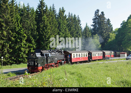 Treno a vapore chiamato Brockenbahn vicino Drei Annen, Montagne Harz, Sassonia-Anhalt, Germania Foto Stock