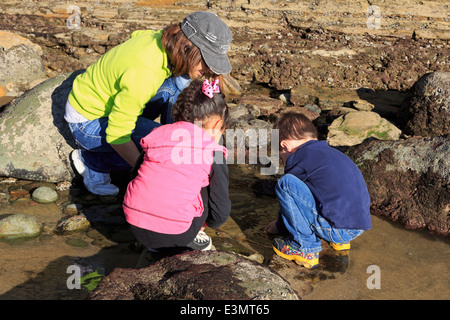 Tidepools in Cabrillo National Monument,Point Loma,San Diego, California, Stati Uniti d'America Foto Stock